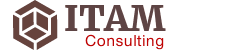ITAM Consulting SAM logo